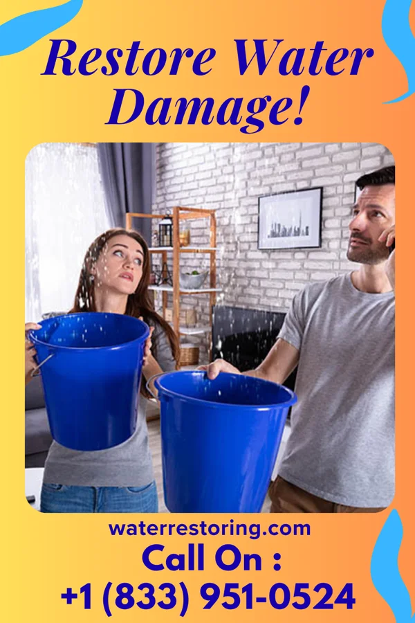 water restoration Swift Water Mitigation Services Put-in-Bay