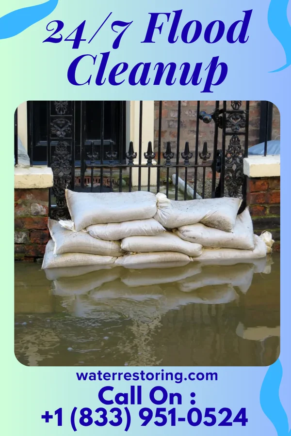 24/7 Flood Cleanup in Put-in-Bay, OH