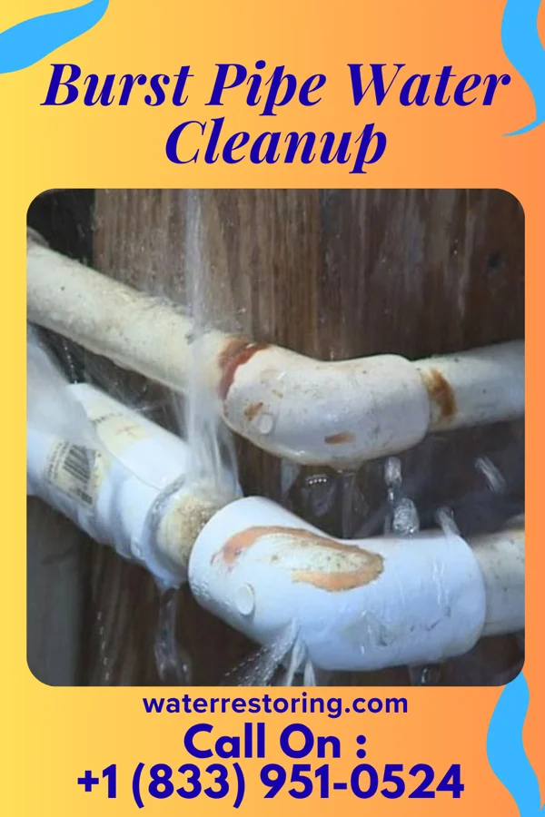 Burst Pipe Water Cleanup in Put-in-Bay, OH