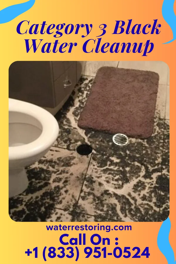 Category 3 Black Water Cleanup in Put-in-Bay, OH