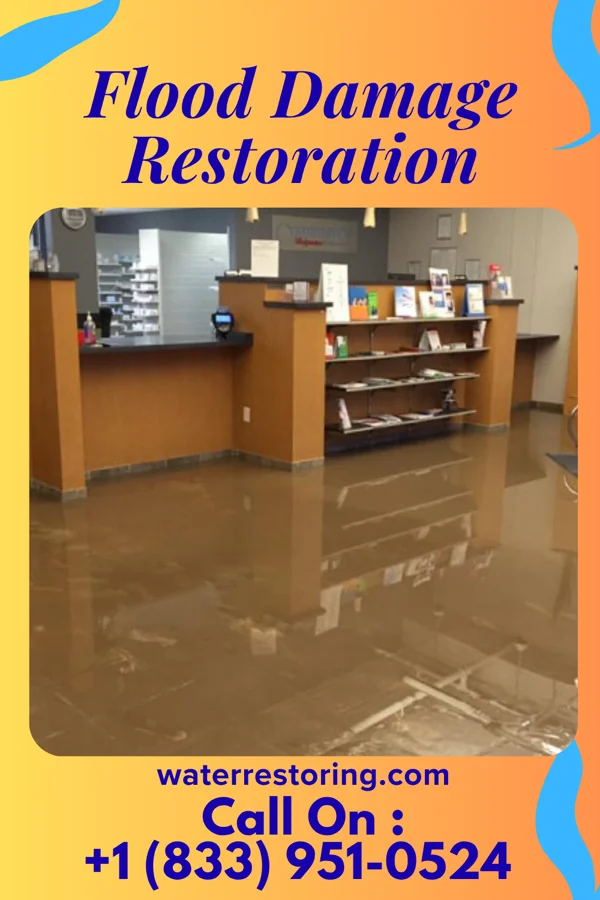 Flood Damage Restoration in Put-in-Bay, OH
