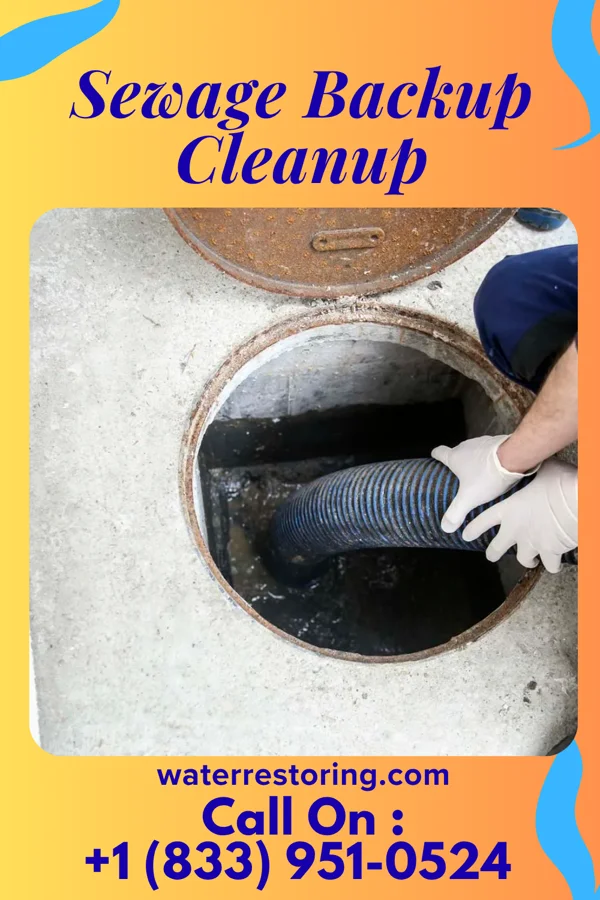 Sewage Backup Cleanup in Put-in-Bay, OH